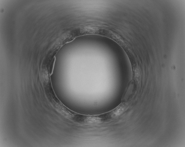 X0000074310617200609011514