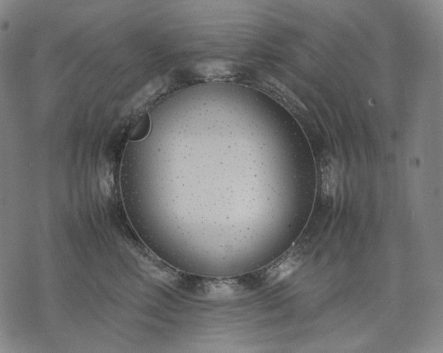 X0000074310618200609011514