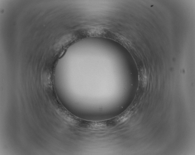 X0000074310619200609011514