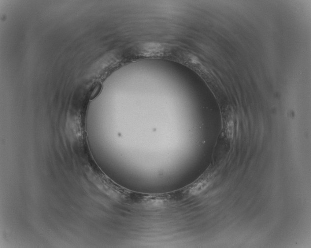 X0000074310620200609011514