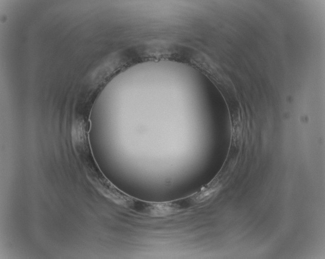 X0000074310623200609011514