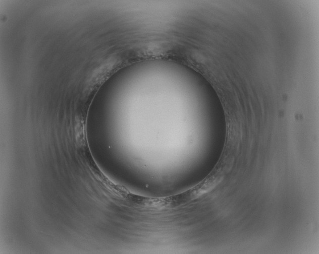 X0000074310624200609011514