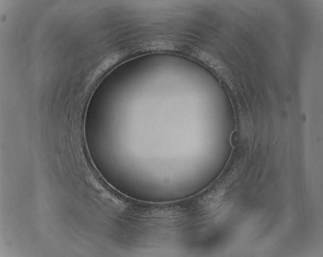 X0000074310625200609011513