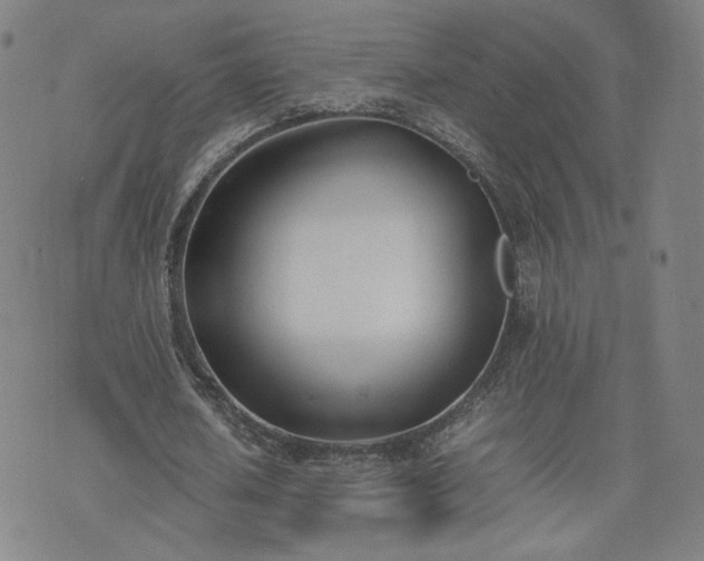 X0000074310626200609011513