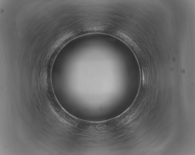 X0000074310627200609011513