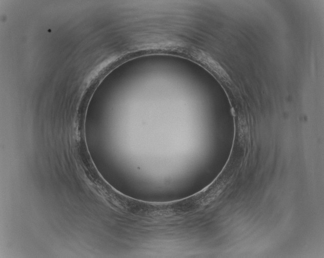 X0000074310628200609011513