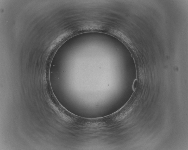 X0000074310629200609011513