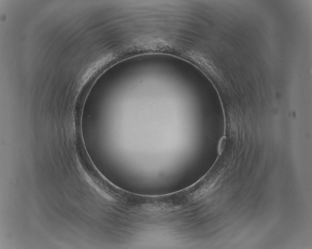 X0000074310630200609011513