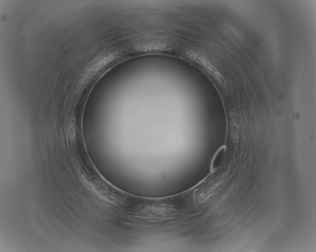 X0000074310631200609011513