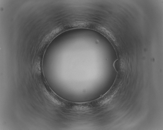 X0000074310633200609011513