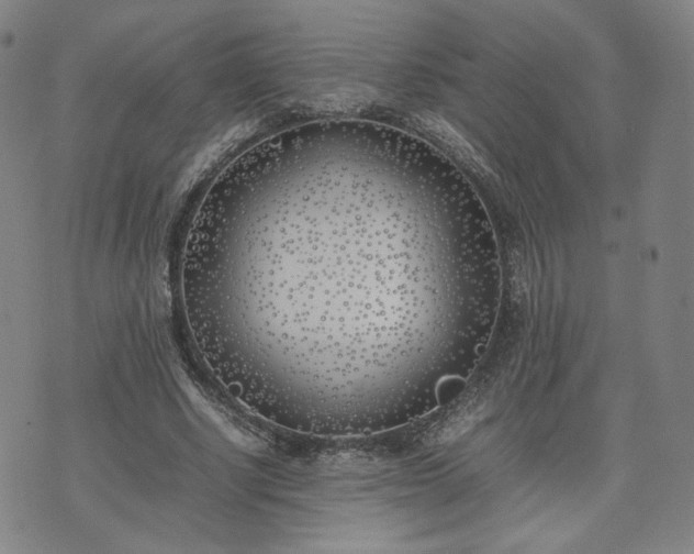 X0000074310634200609011513