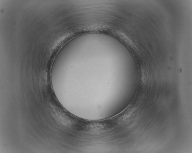 X0000074310636200609011513