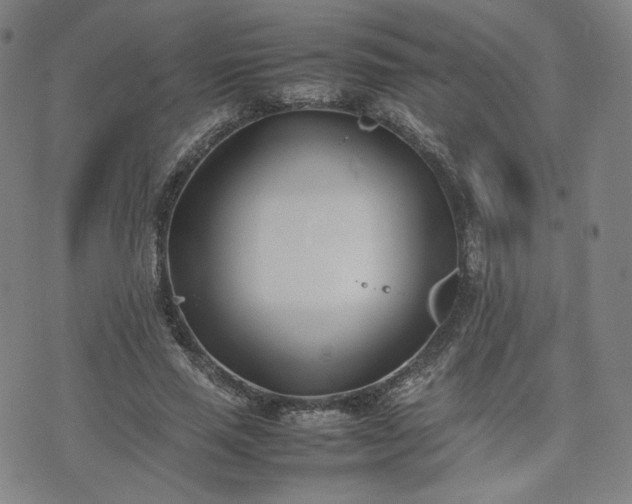 X0000074310637200609011513