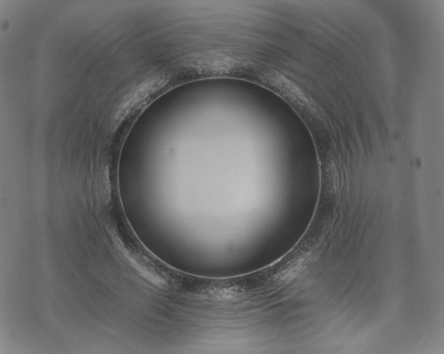 X0000074310638200609011513