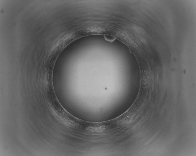 X0000074310639200609011513