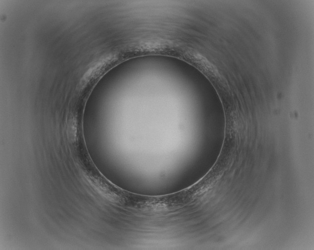 X0000074310640200609011513