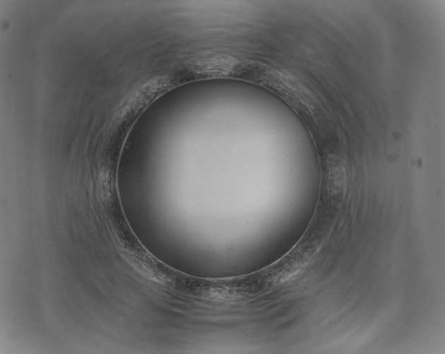 X0000074310641200609011513