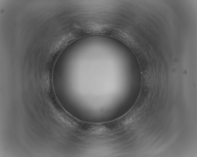 X0000074310642200609011513