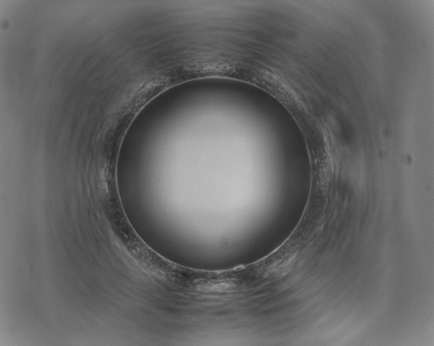 X0000074310643200609011513