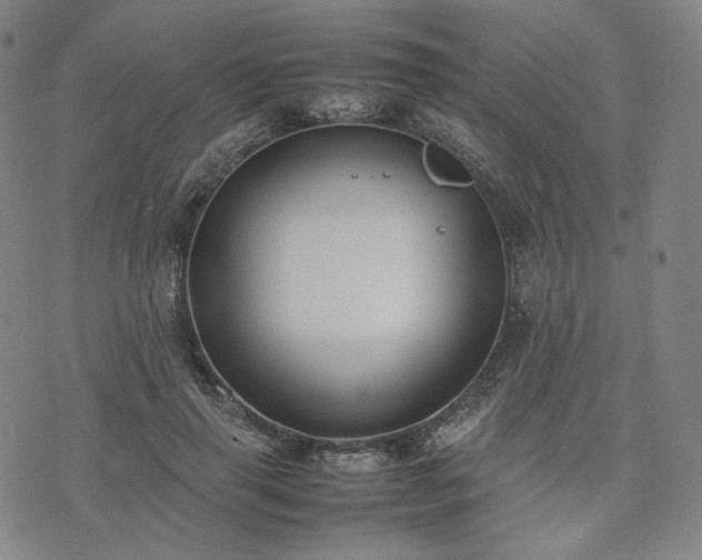 X0000074310645200609011513