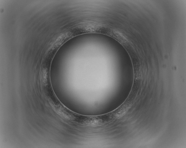 X0000074310646200609011513