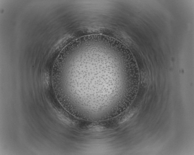 X0000074310648200609011513