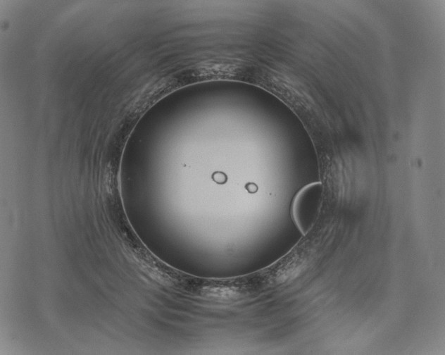 X0000074310649200609011513