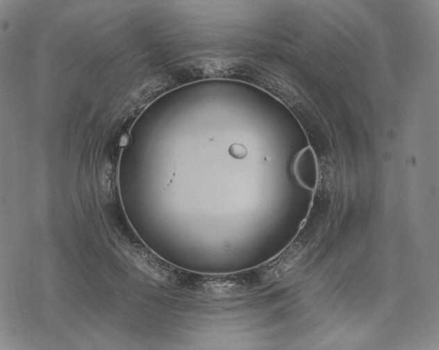 X0000074310650200609011513