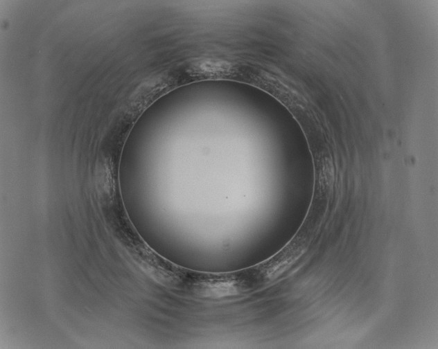 X0000074310651200609011513