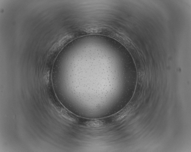 X0000074310652200609011513