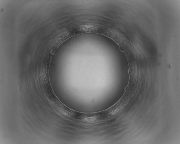 X0000074310653200609011513