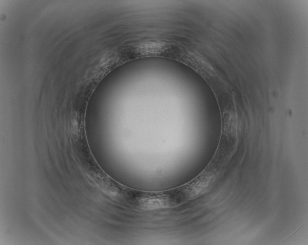 X0000074310655200609011513