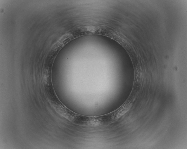 X0000074310656200609011513