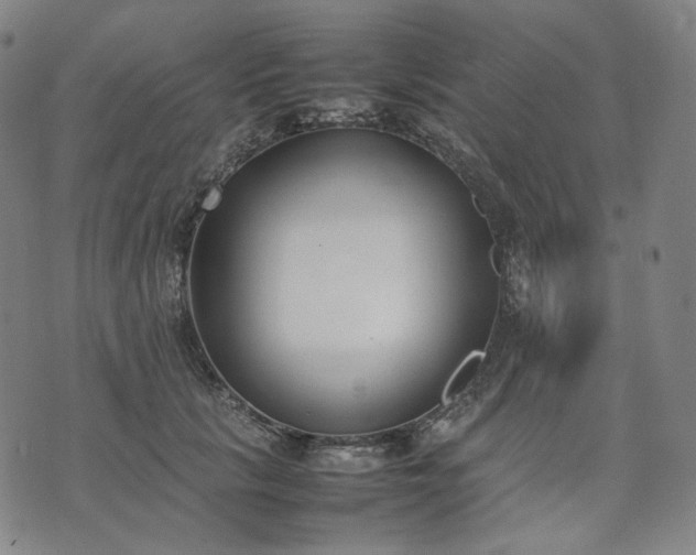 X0000074310657200609011513