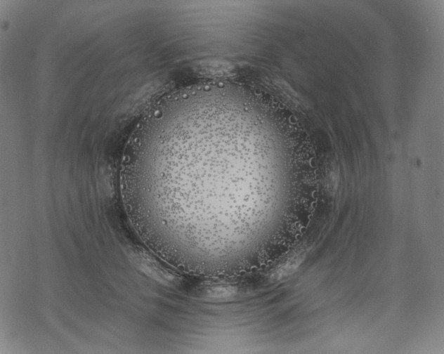 X0000074310658200609011513