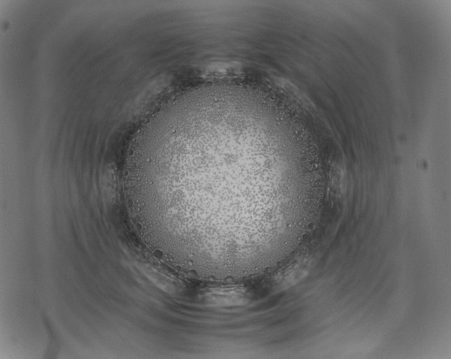 X0000074310659200609011513