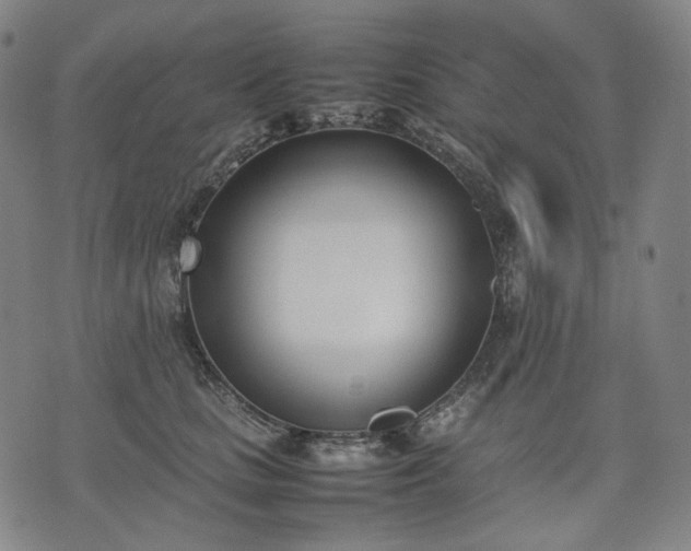 X0000074310661200609011514