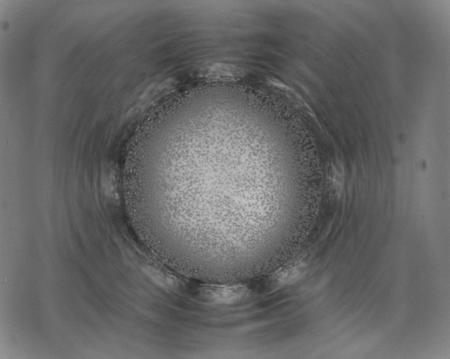 X0000074310663200609011514