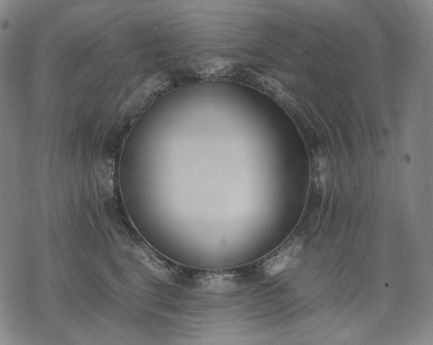 X0000074310664200609011514