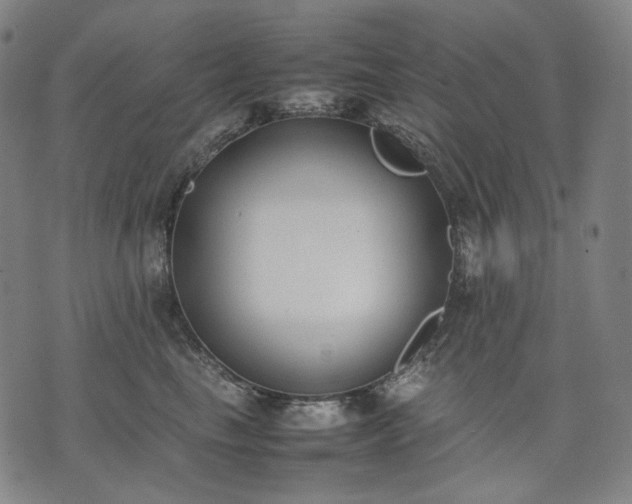 X0000074310665200609011514