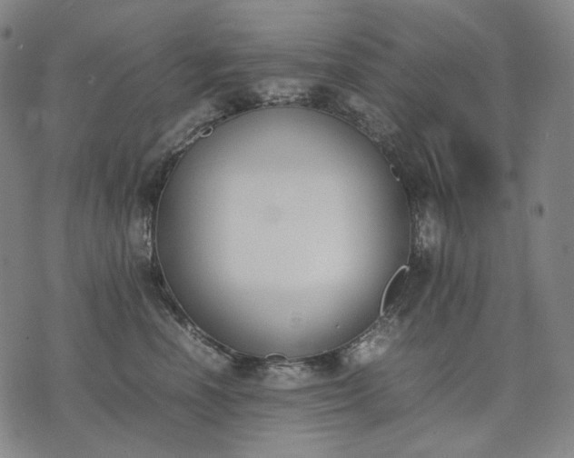 X0000074310666200609011514