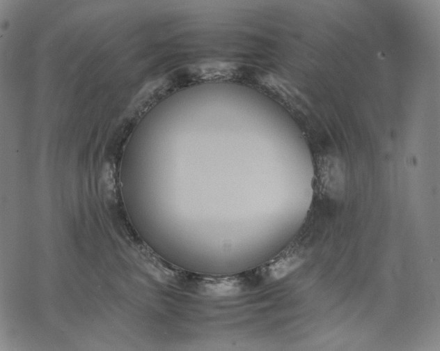 X0000074310667200609011514