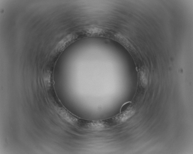 X0000074310668200609011514