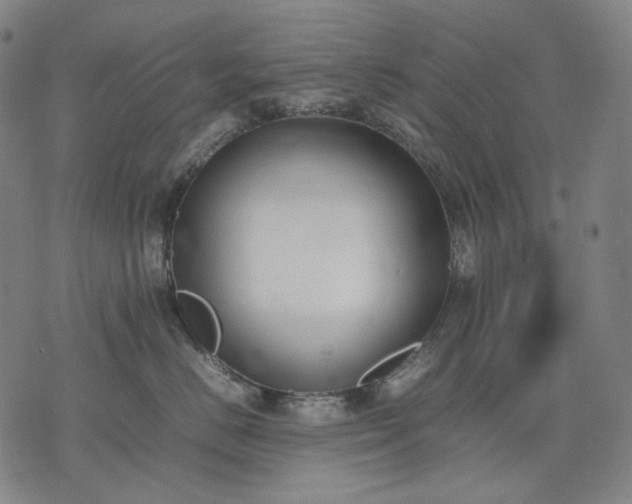 X0000074310670200609011514