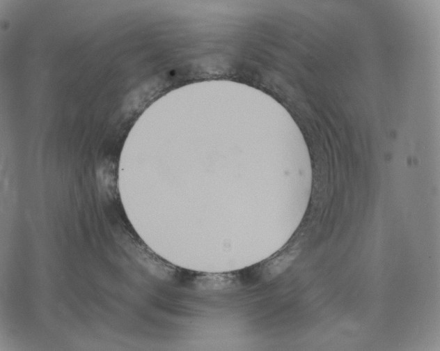 X0000074310672200609011514