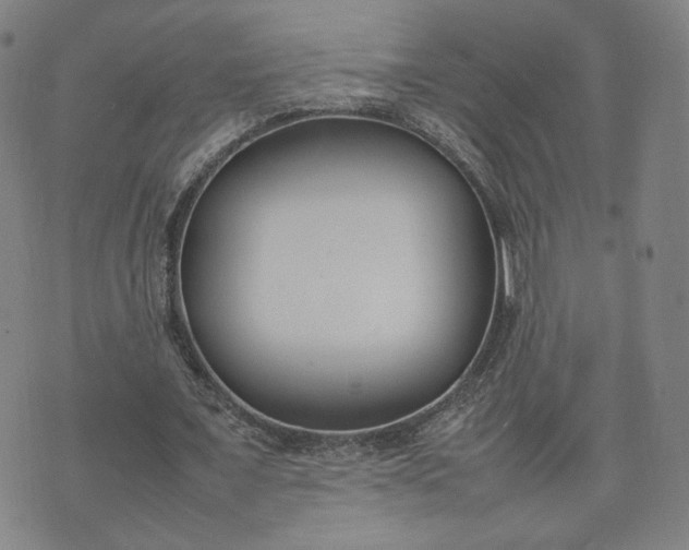 X0000074310675200609011513