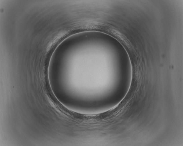 X0000074310677200609011513