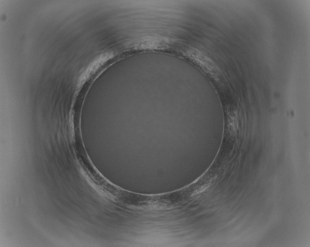 X0000074310678200609011513