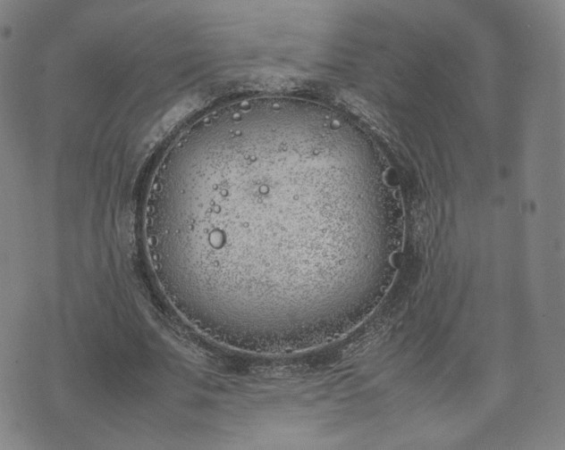 X0000074310679200609011513