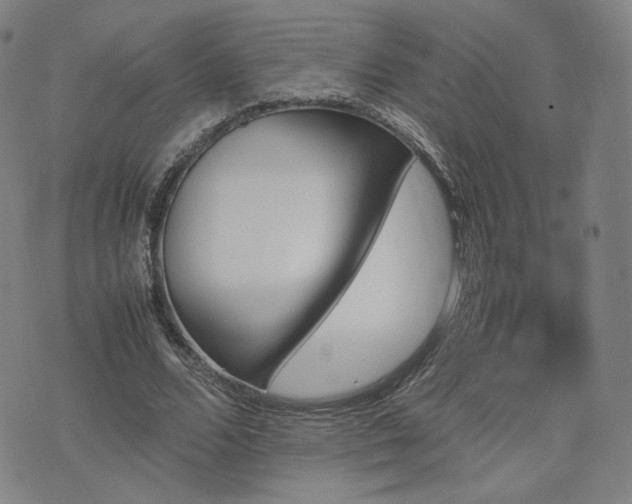 X0000074310680200609011513